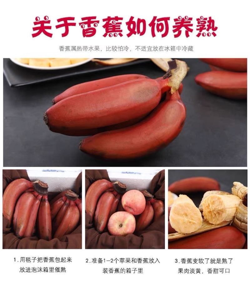 福建红美人香蕉现摘红皮香蕉新鲜水果甜糯孕妇水果整箱代发