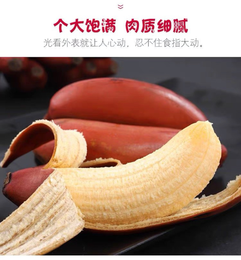 福建红美人香蕉现摘红皮香蕉新鲜水果甜糯孕妇水果整箱代发
