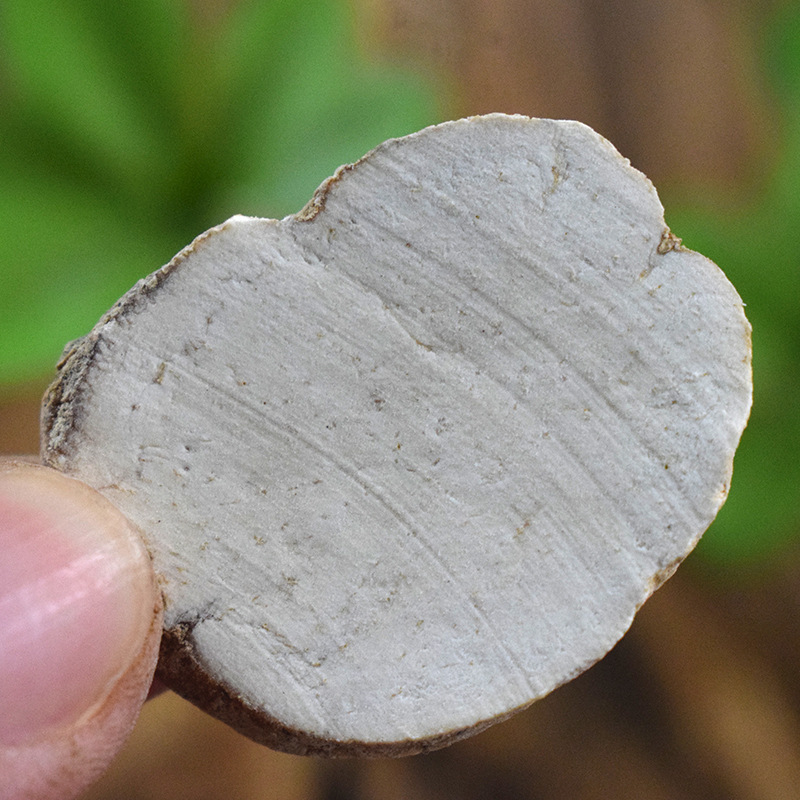 天花粉中药材批发天花粉现货供应天花粉片可免费打粉栝楼