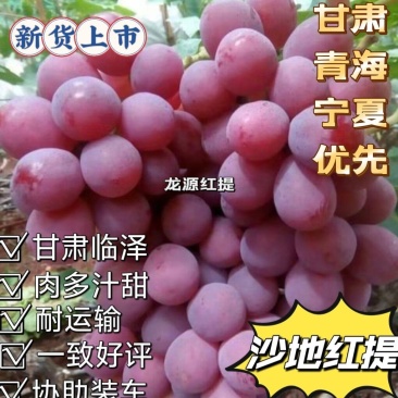 鲜果沙地红提产地直供口感甜青海优先（气调库）