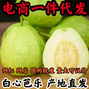 福建白心芭乐番石榴整箱新鲜软心胭脂芭乐新鲜热带水果代发