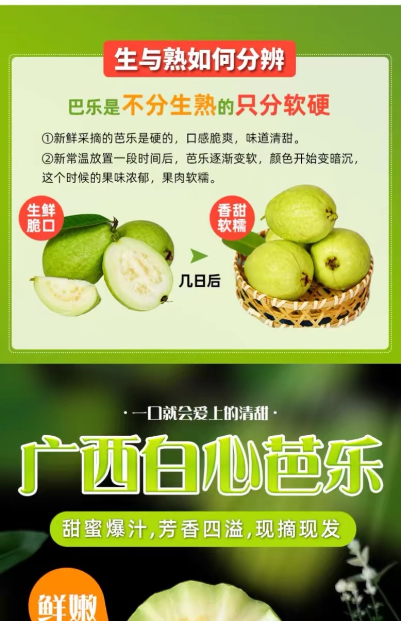 福建白心芭乐番石榴整箱新鲜软心胭脂芭乐新鲜热带水果代发