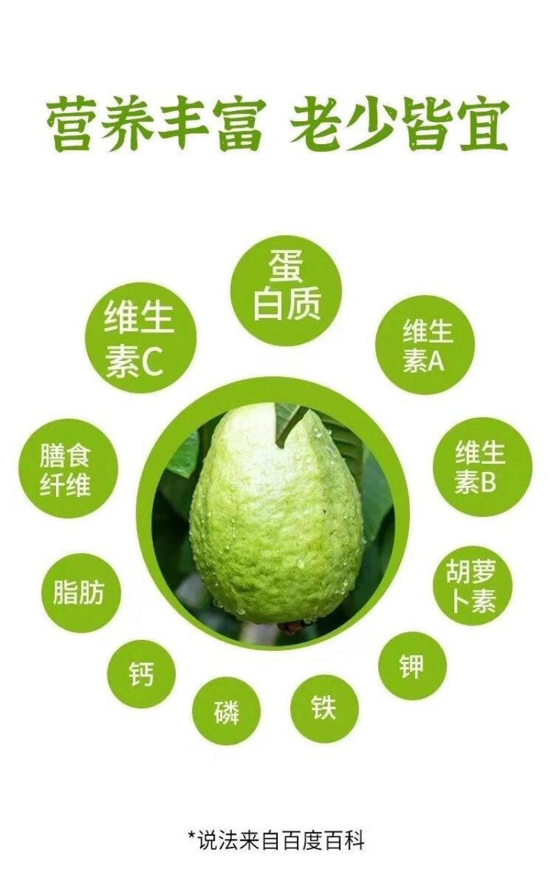 福建白心芭乐番石榴整箱新鲜软心胭脂芭乐新鲜热带水果代发