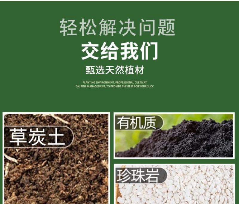 育苗基质厂家发货品质保证全国包邮支持视频看货欢迎来电