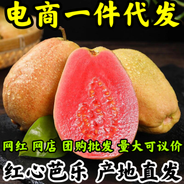 福建漳州产品新鲜树上采摘口感香甜红心芭乐当季水果