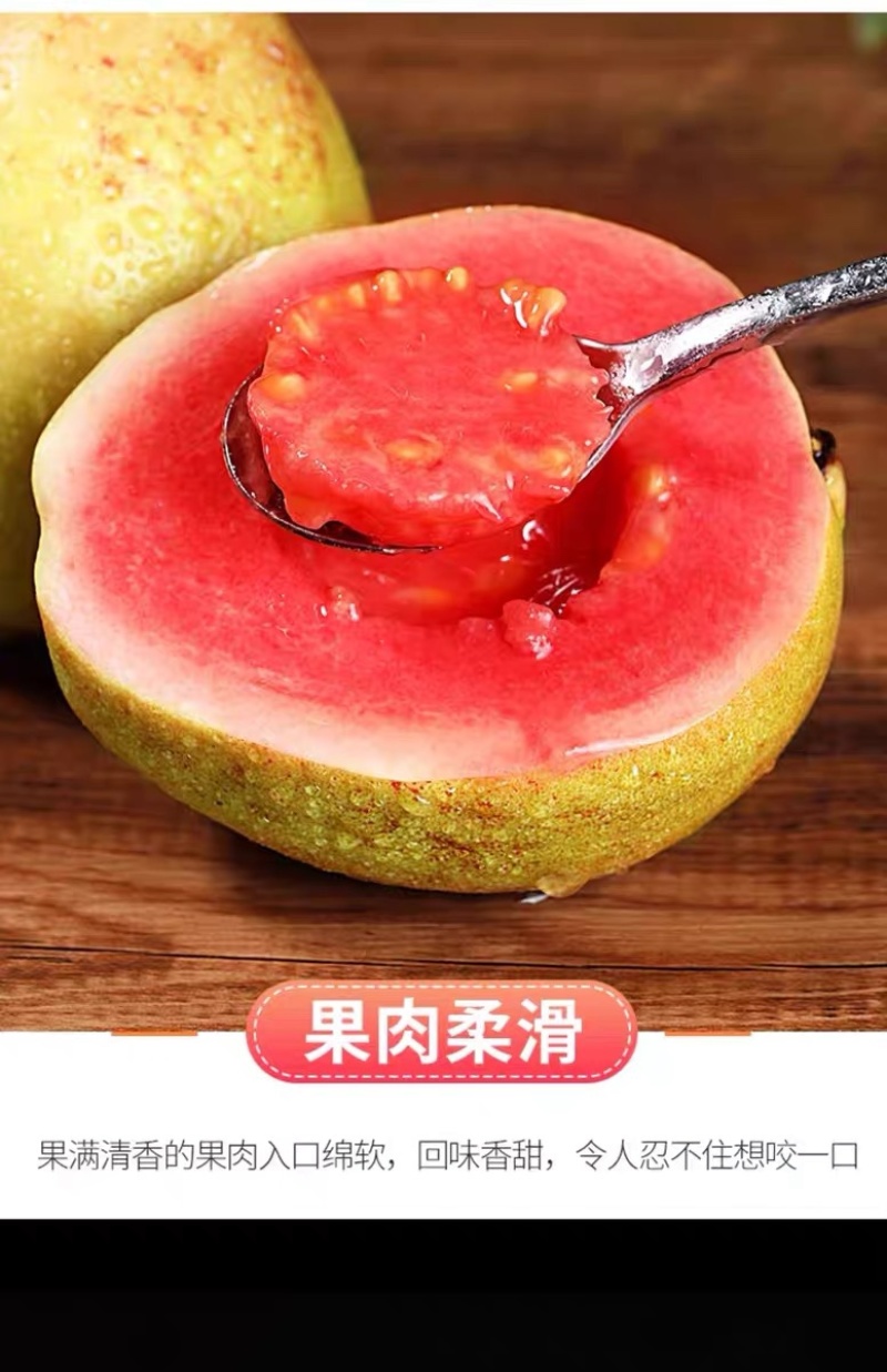 福建漳州产品新鲜树上采摘口感香甜红心芭乐当季水果