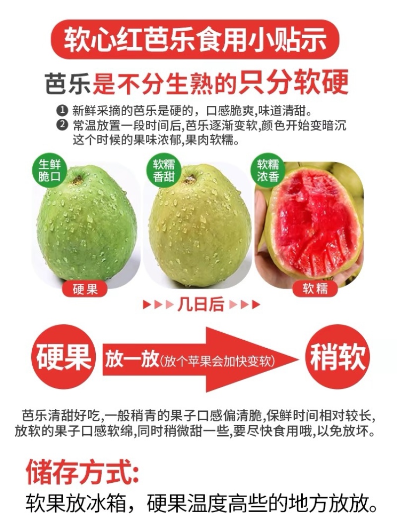 福建漳州产品新鲜树上采摘口感香甜红心芭乐当季水果
