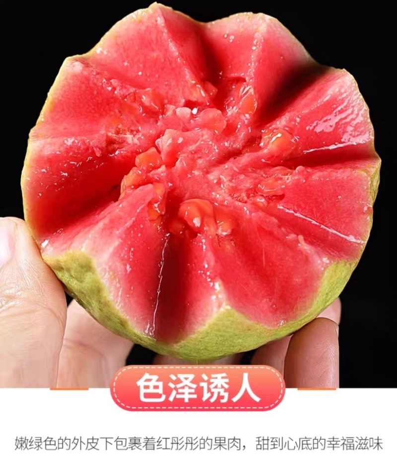 福建漳州产品新鲜树上采摘口感香甜红心芭乐当季水果