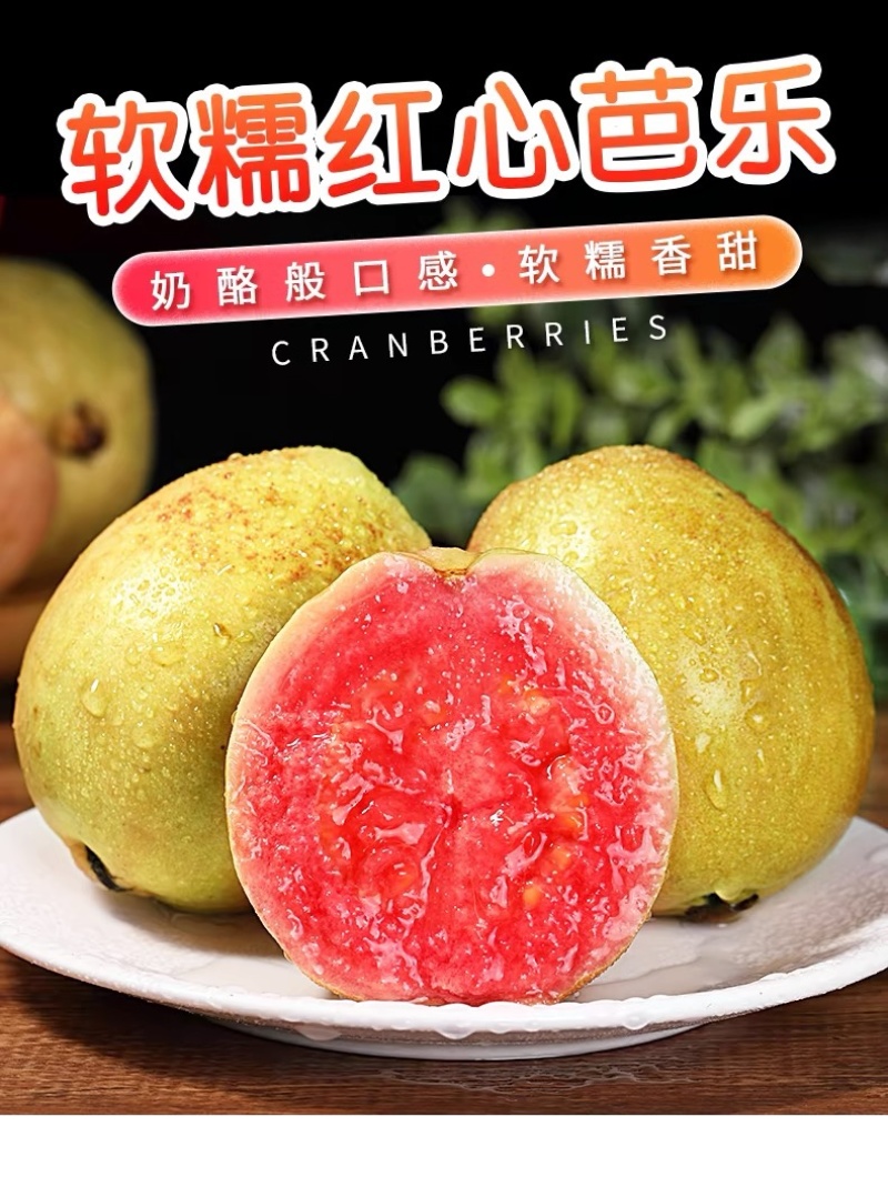 福建漳州产品新鲜树上采摘口感香甜红心芭乐当季水果