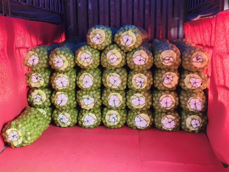 冷链运输示意图