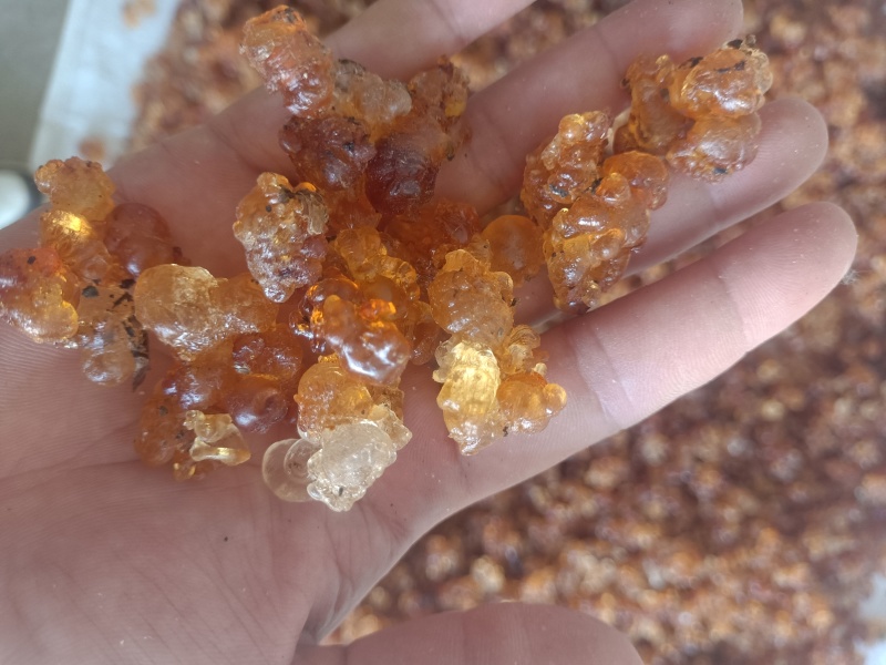 湖北桃胶机磨成品水洗爆米花规格齐全电商食品厂可对接