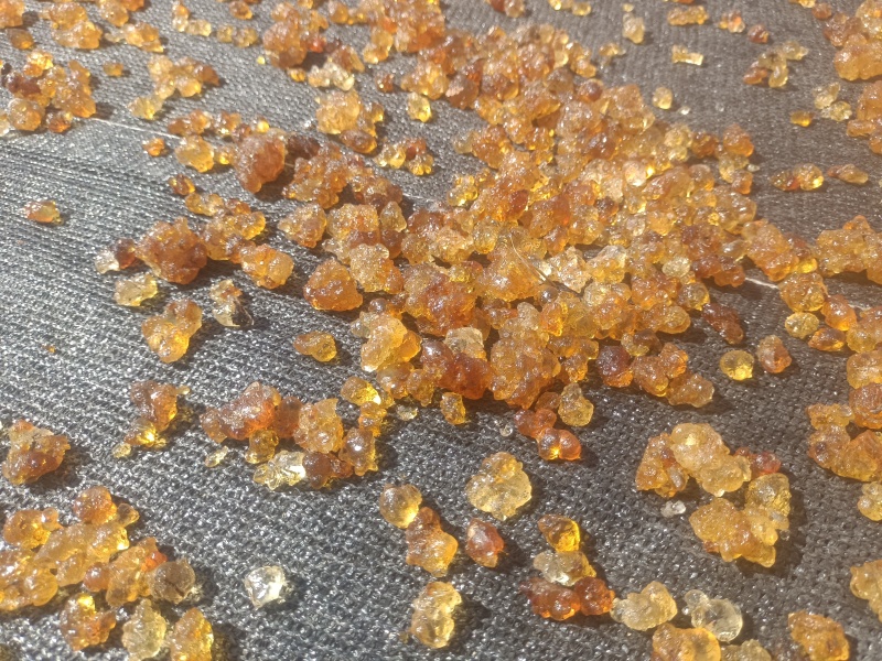 湖北桃胶机磨成品水洗爆米花规格齐全电商食品厂可对接