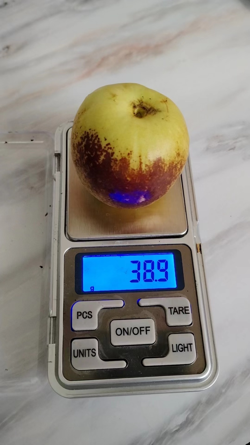 陕西大荔冬枣，大荔原产地代收代发，供应商超档口，可合作供
