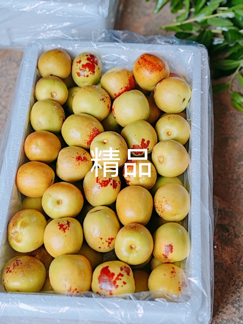 陕西大荔冬枣，大荔原产地代收代发，供应商超档口，可合作供