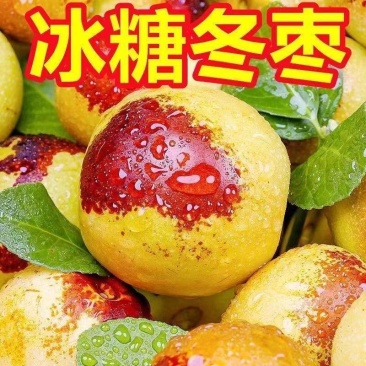 现摘现发，冬枣