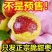 现摘现发，冬枣