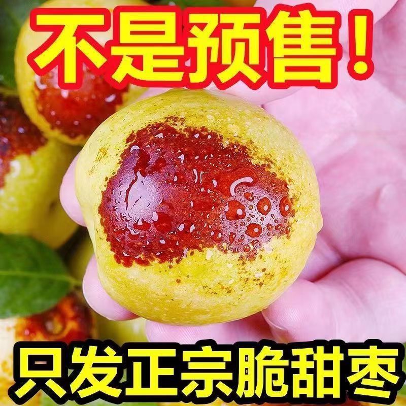 现摘现发，冬枣