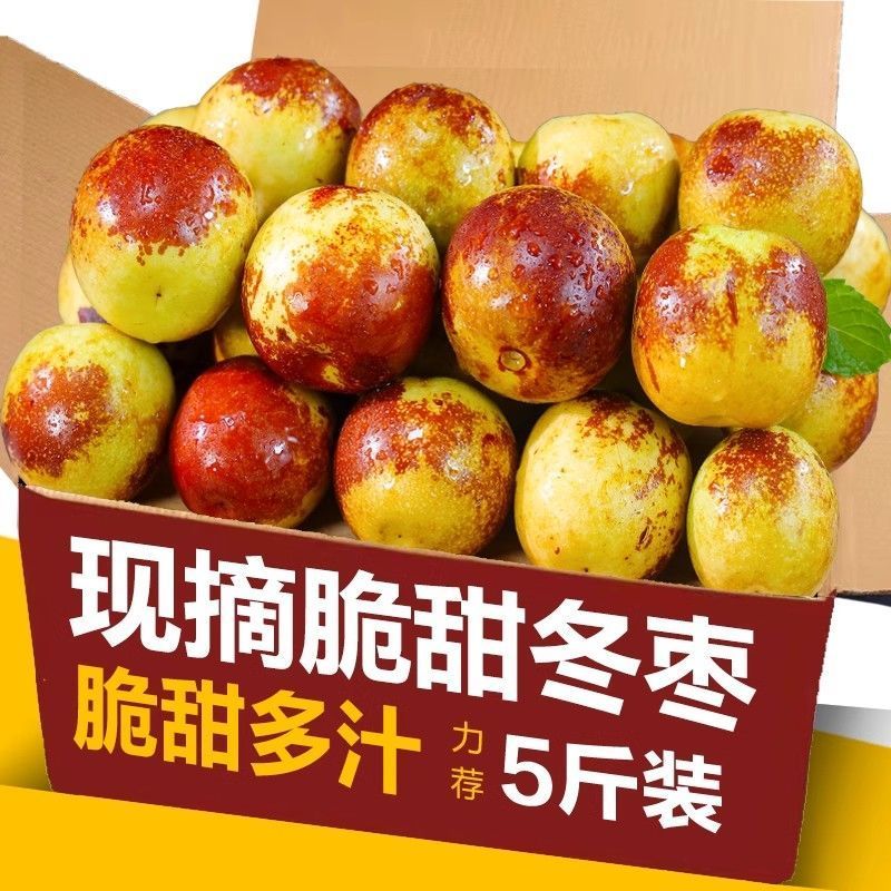 现摘现发，冬枣