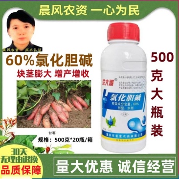 洋大哥60%氯化胆碱甘薯调节生长块茎膨大增产植物生长调节