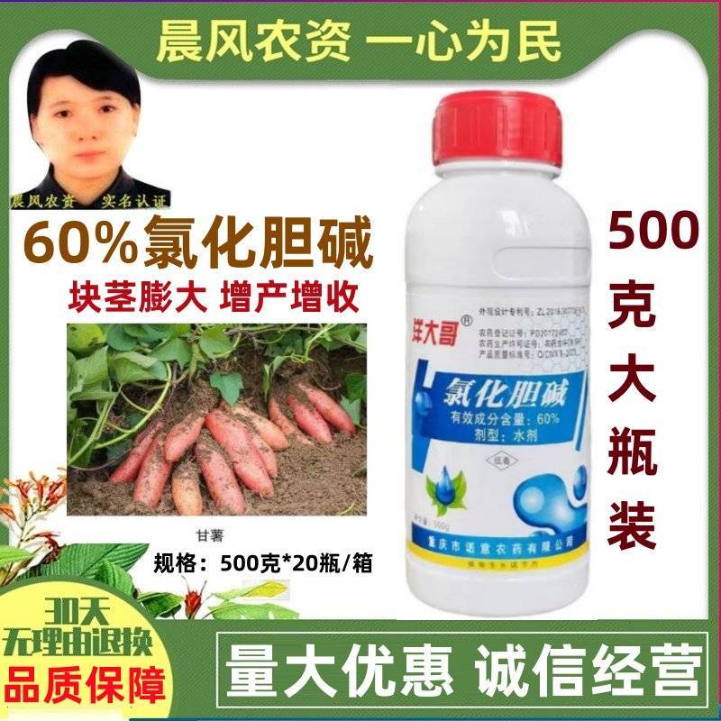 洋大哥60%氯化胆碱甘薯调节生长块茎膨大增产植物生长调节