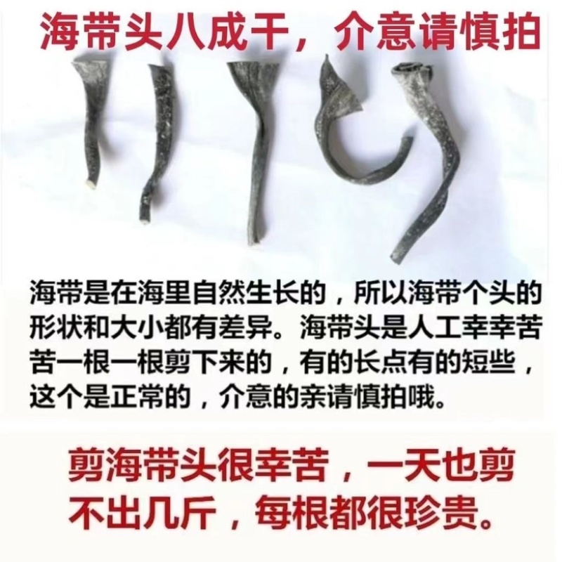 福建新货海带头特厚软糯海带根日晒无沙海带海梗袋装