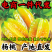 现摘福建即食杨桃新鲜应季五角星孕妇水果整箱批发代发