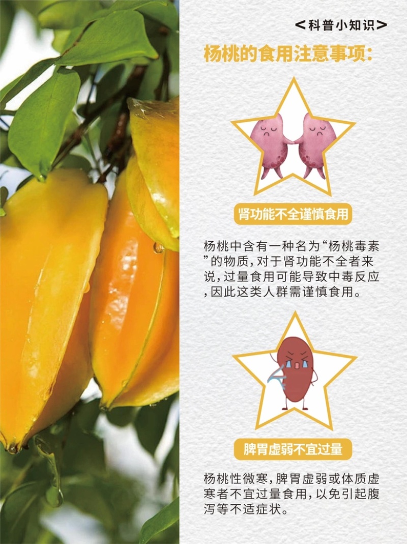 现摘福建即食杨桃新鲜应季五角星孕妇水果整箱批发代发