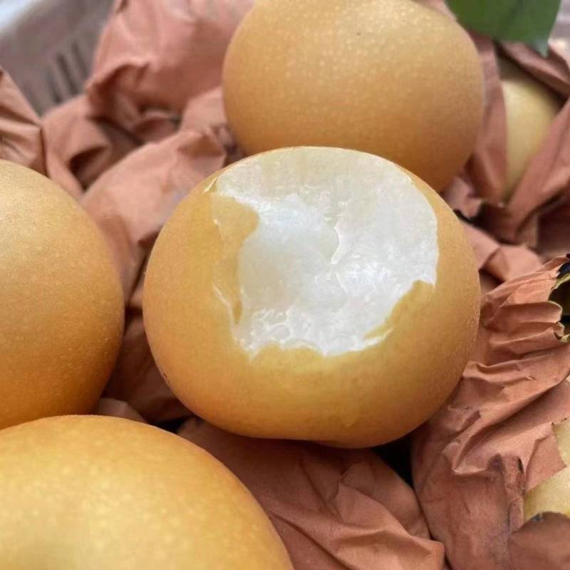 丰水梨大量上市中，代发，代办，对接电商，批发市场