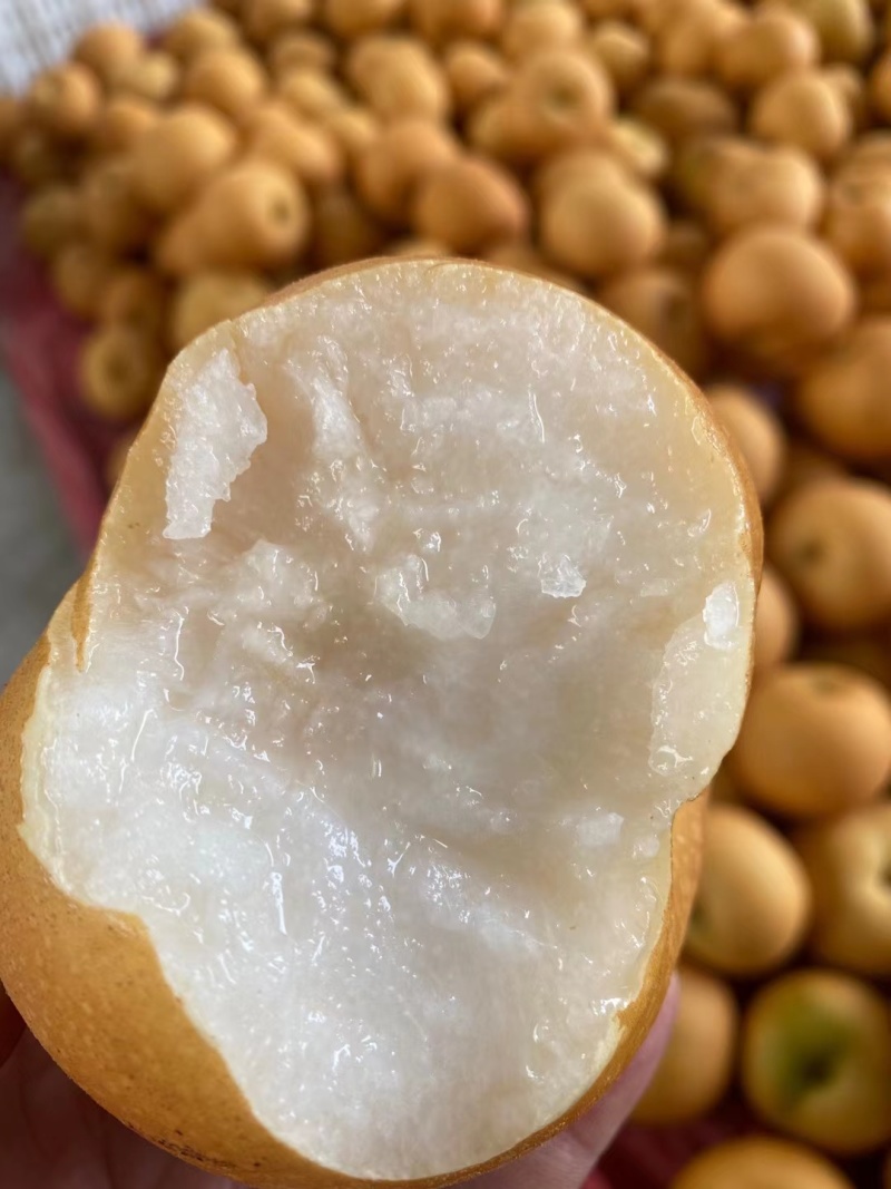 丰水梨大量上市中，代发，代办，对接电商，批发市场
