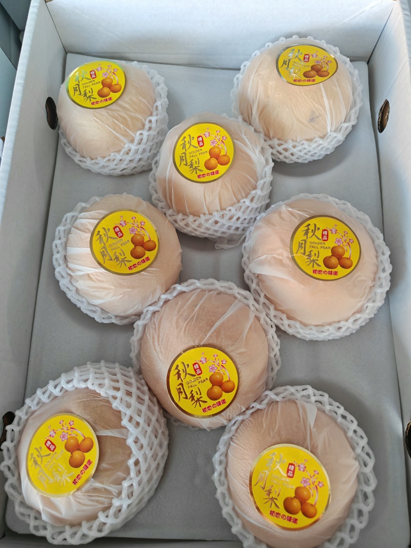 丰水梨大量上市中，代发，代办，对接电商，批发市场