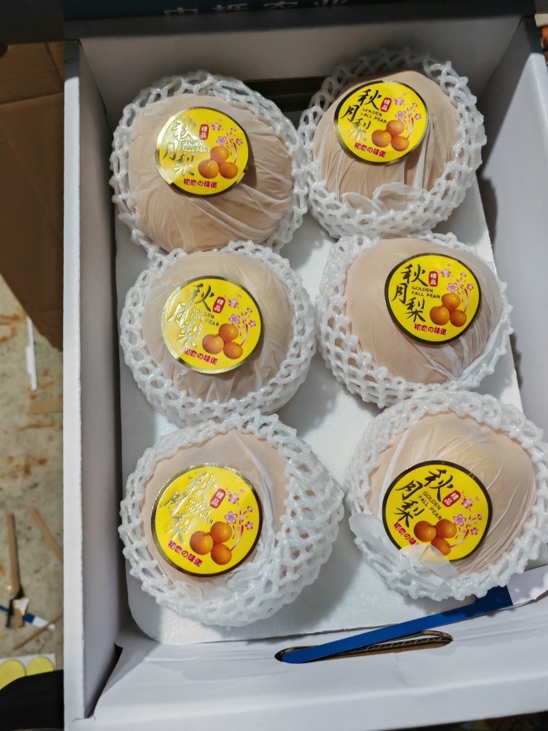 丰水梨大量上市中，代发，代办，对接电商，批发市场