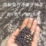 木姜子#山苍子#山胡椒种子成熟采摘，精挑细选，发芽整齐！