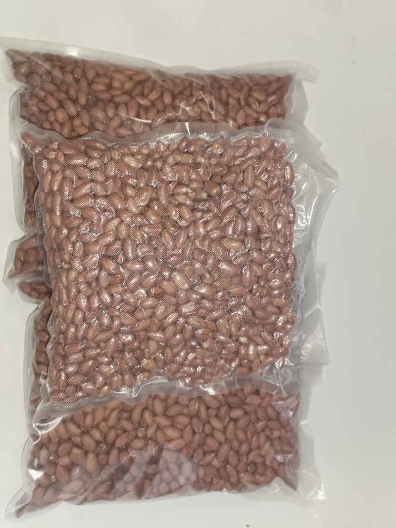 手工精选红衣花生米