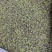浮萍一面紫一面绿河北干货量大从优