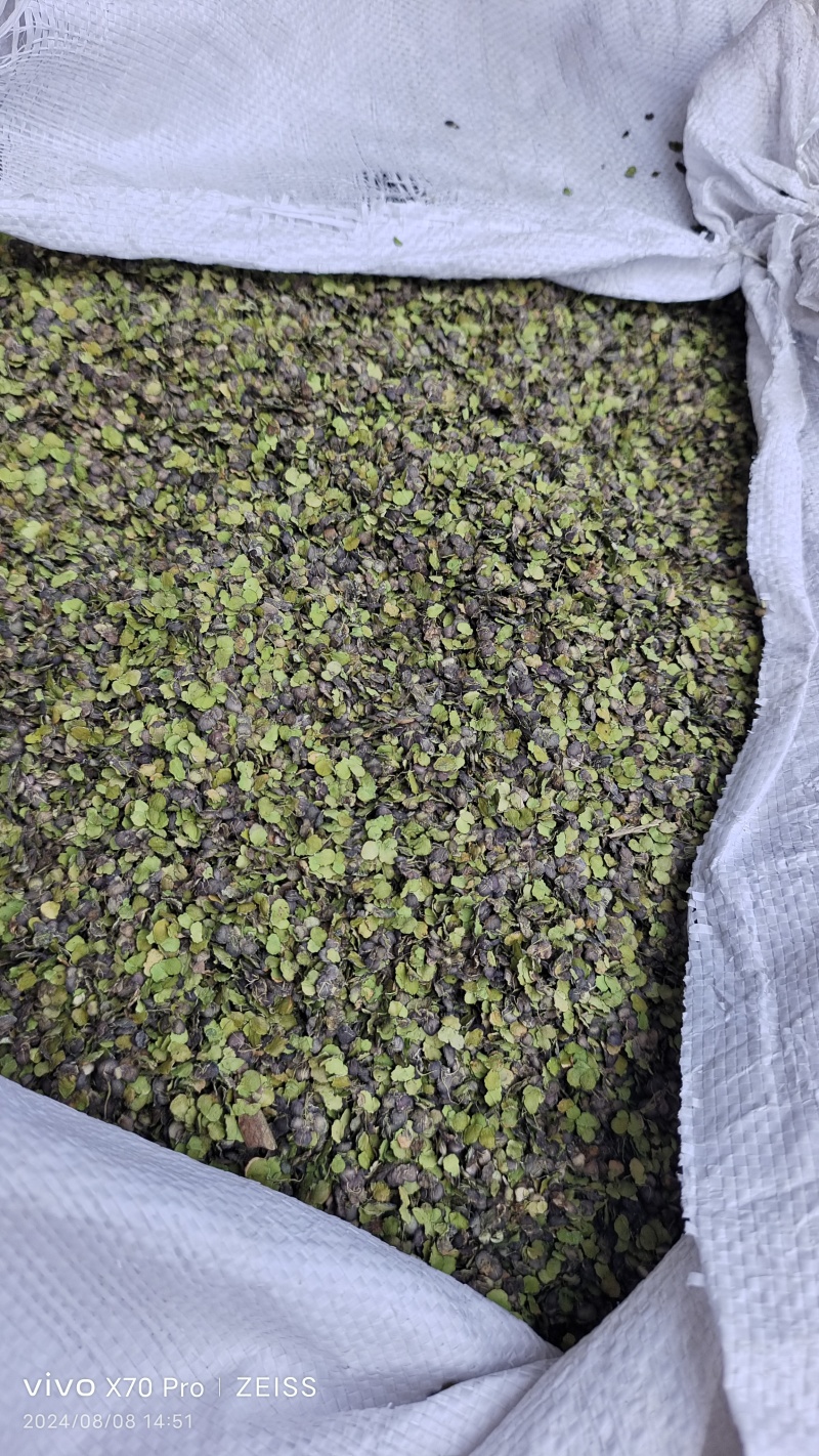 浮萍一面紫一面绿河北干货量大从优