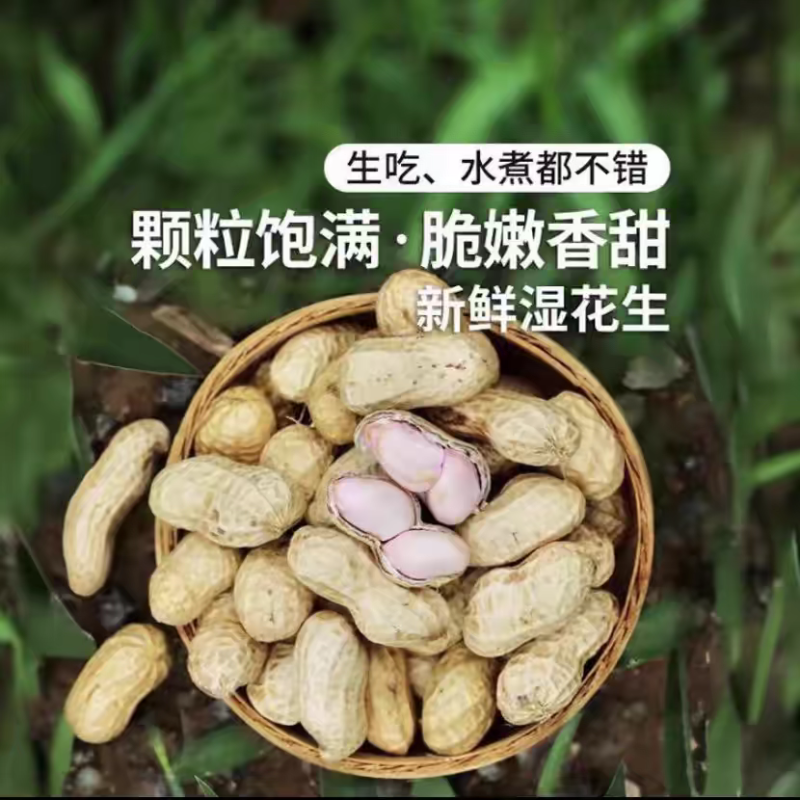 花生/鲜花生/湖北鲜花生/白沙花生/一手货源欢迎老板来电