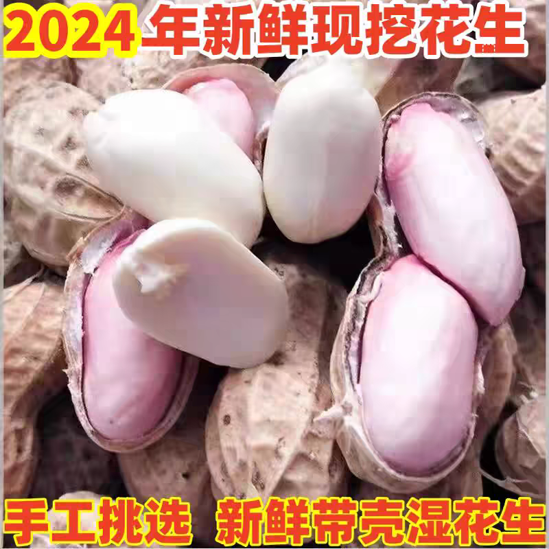 花生/鲜花生/湖北鲜花生/白沙花生/一手货源欢迎老板来电