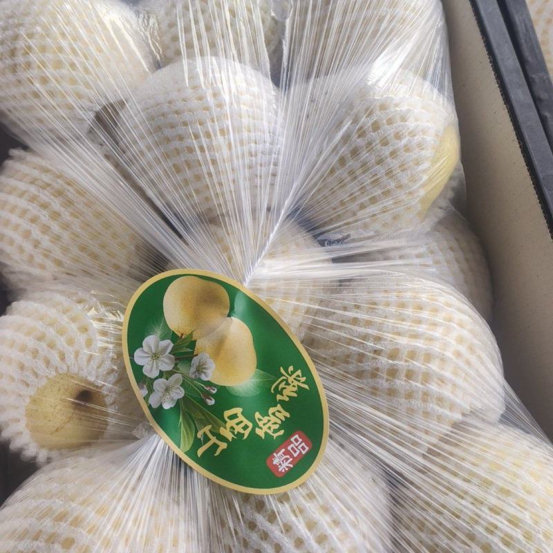 山西精品雪花梨大量上市，一手货源，产地直发！价格便宜