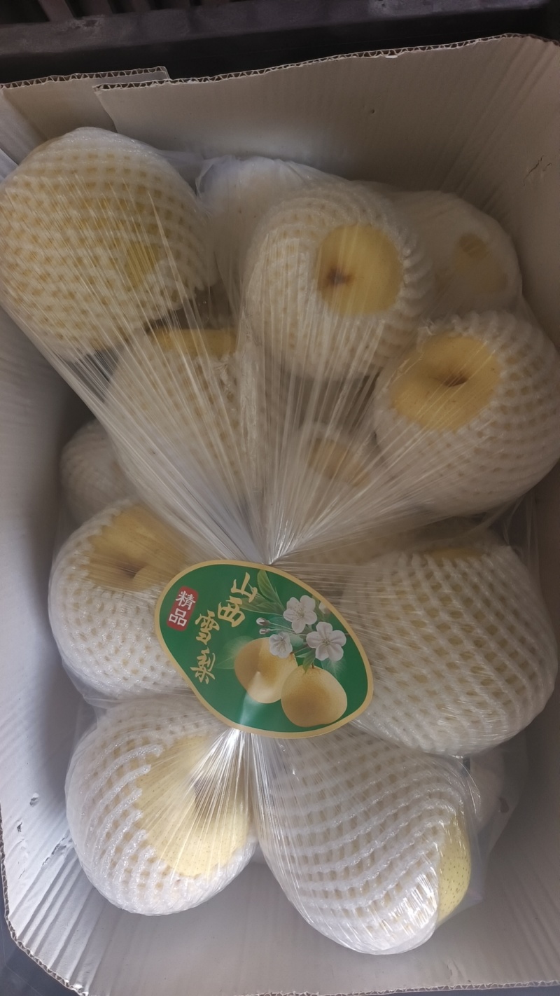 山西精品雪花梨大量上市，一手货源，产地直发！价格便宜