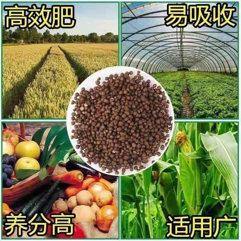优质磷酸二铵小麦玉米水稻果树蔬菜农用通用肥
