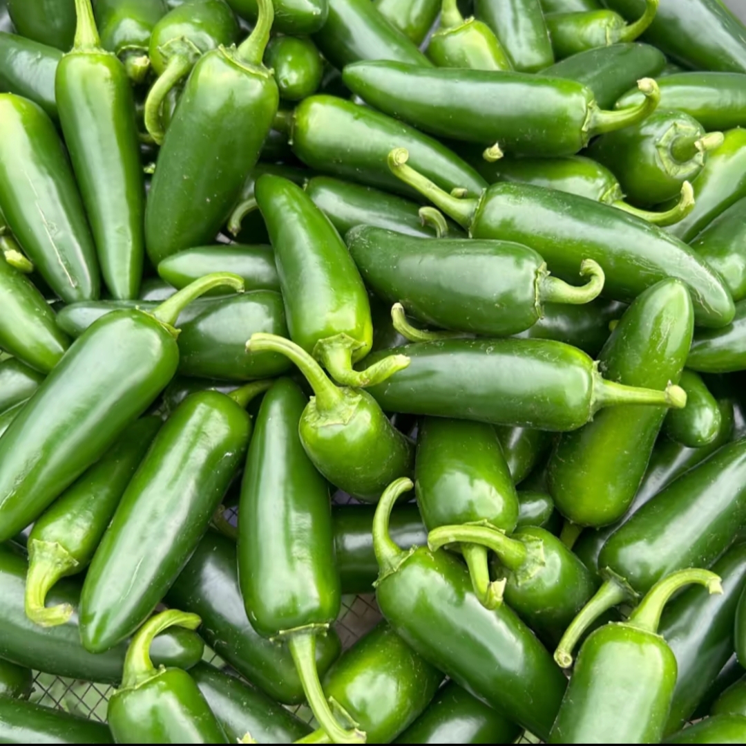 野山椒与泡椒对比图