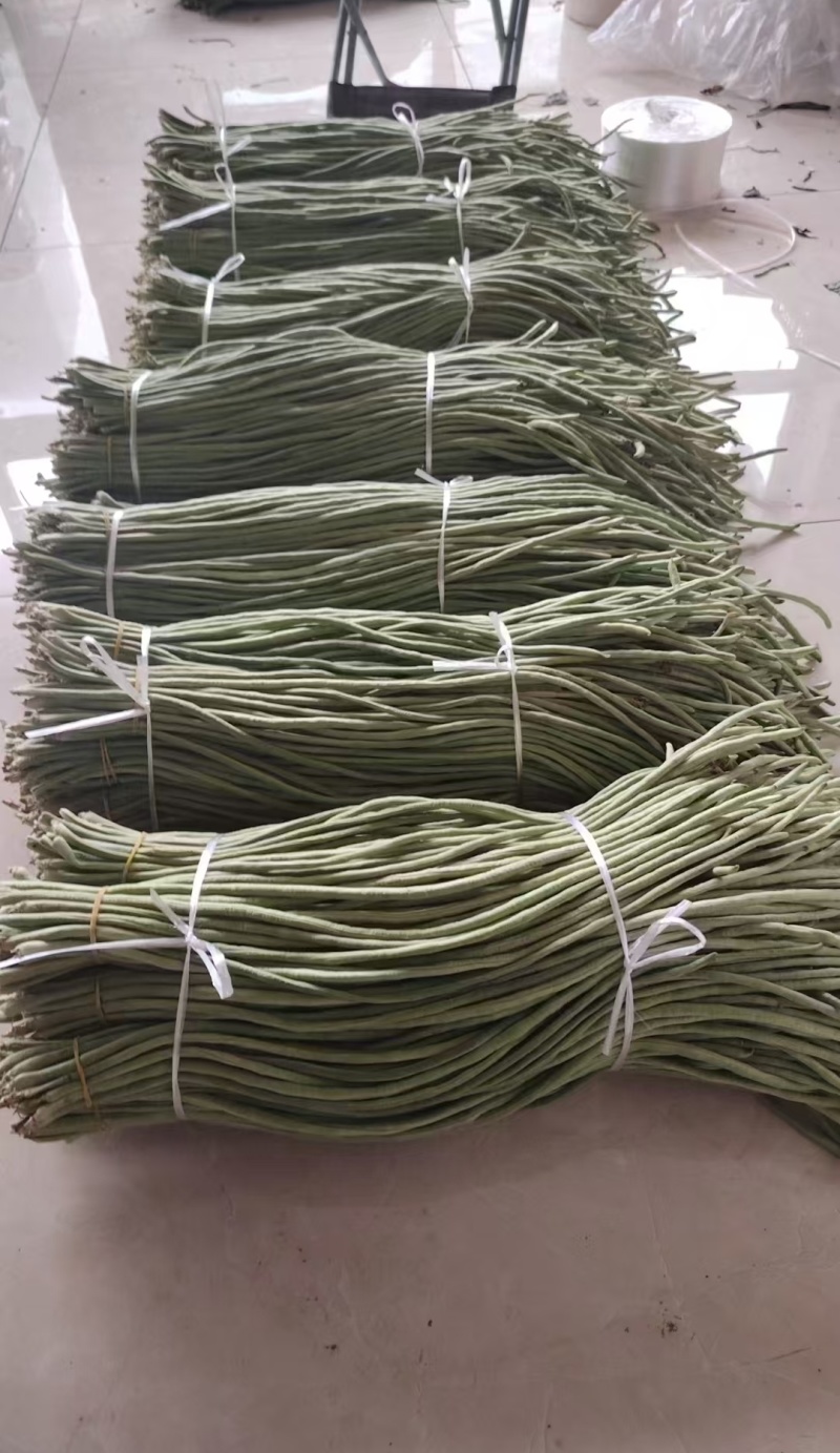 高山豆角大量上市中