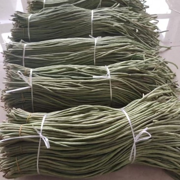 高山豆角大量上市中