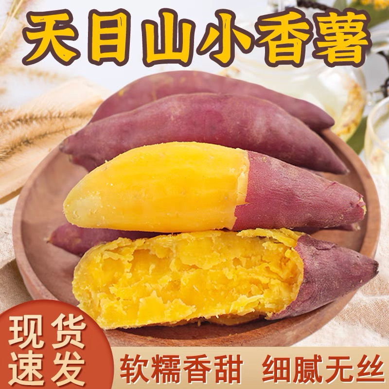 天目山小香薯正宗板栗红薯沙地新鲜农家自种番薯代发