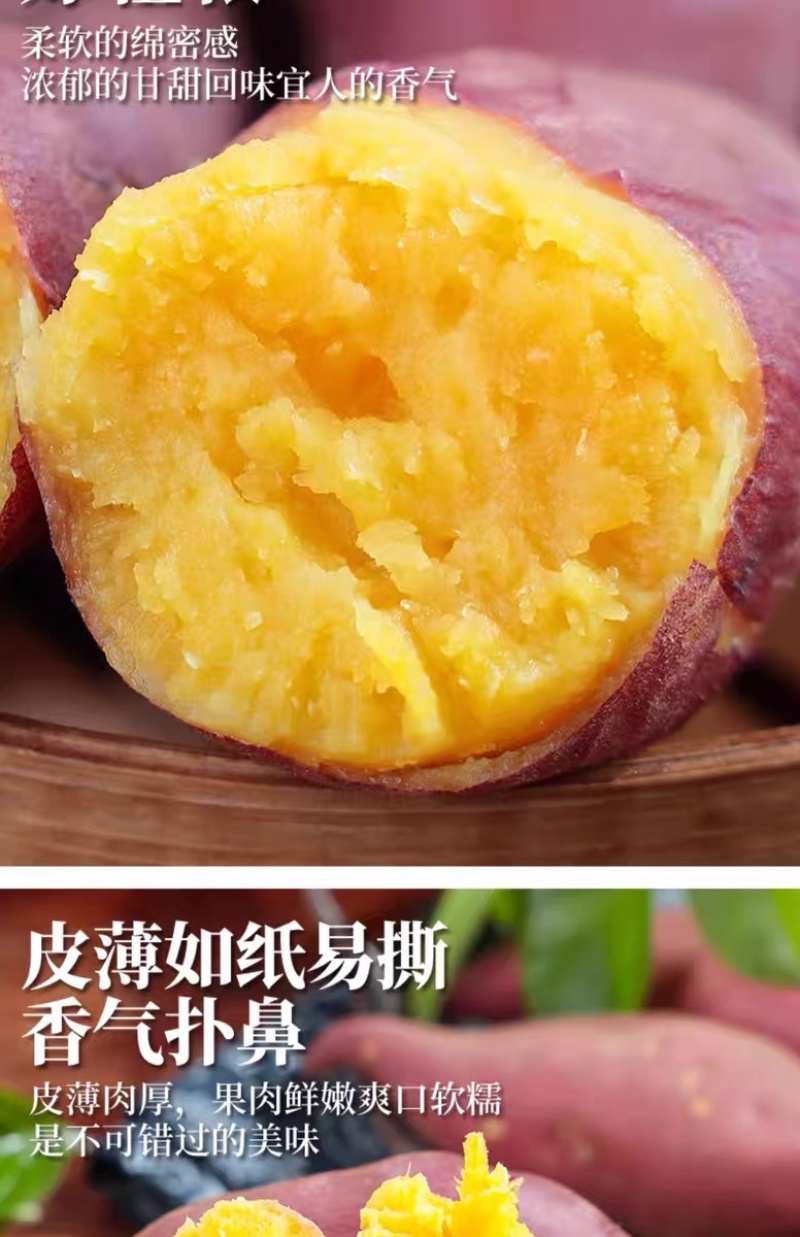 天目山小香薯正宗板栗红薯沙地新鲜农家自种番薯代发