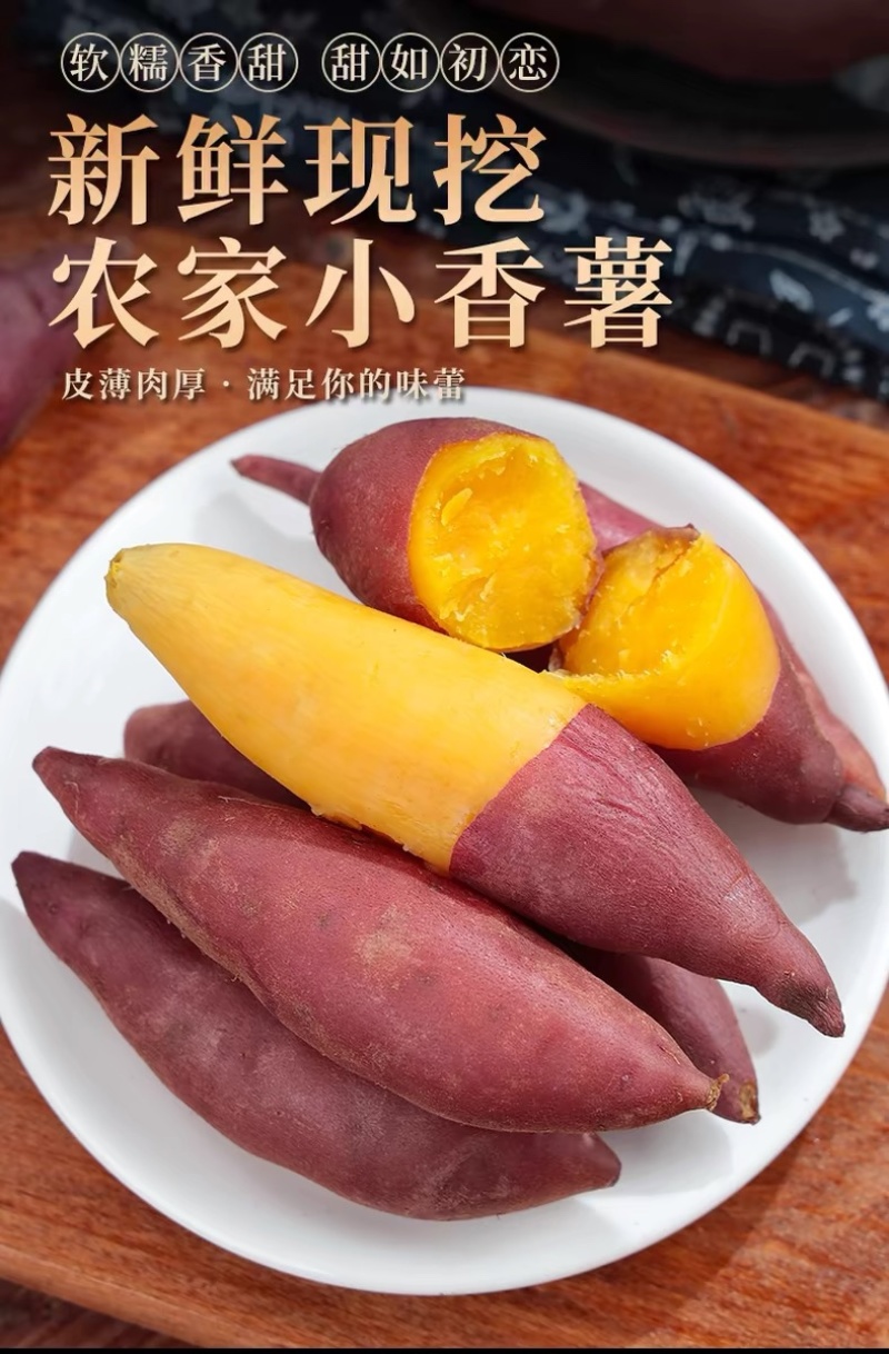 天目山小香薯正宗板栗红薯沙地新鲜农家自种番薯代发