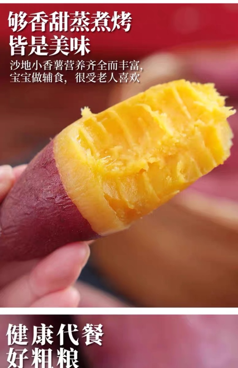 天目山小香薯正宗板栗红薯沙地新鲜农家自种番薯代发