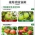钙镁硼锌铁水溶肥中微量元素叶面肥蔬菜瓜果通用植物花卉大棚
