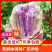 冰淇淋红薯新鲜一点红紫薯地瓜当季糖心板栗薯包邮代发