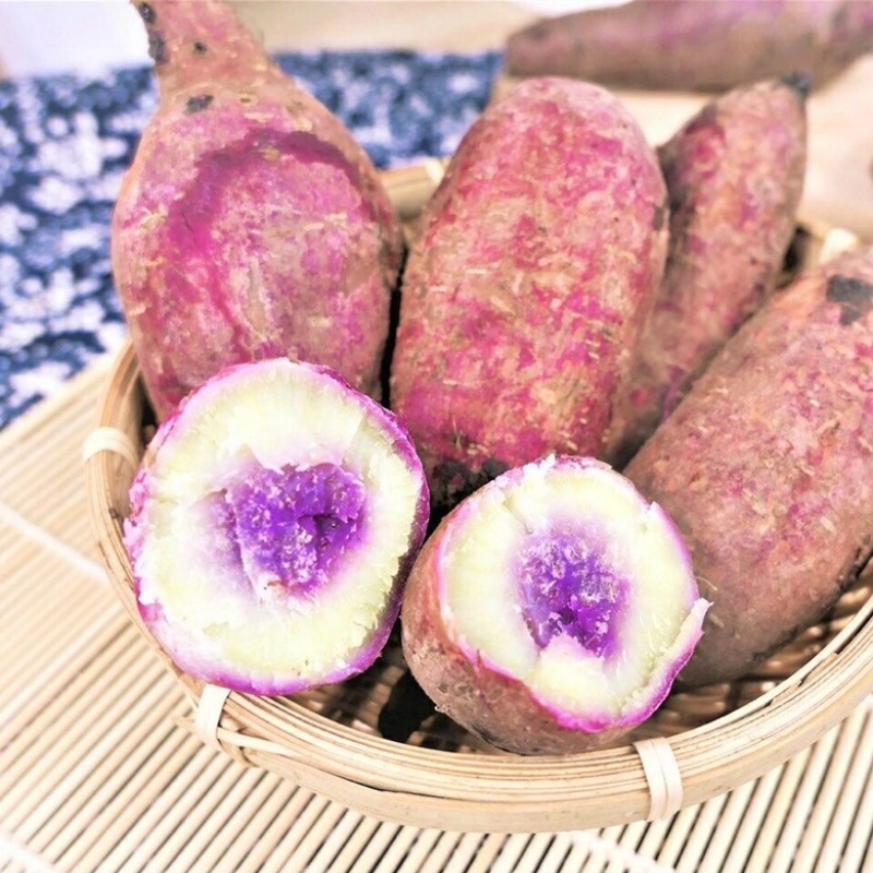 冰淇淋红薯新鲜一点红紫薯地瓜当季糖心板栗薯包邮代发